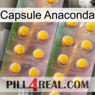 Anaconda Capsule new10